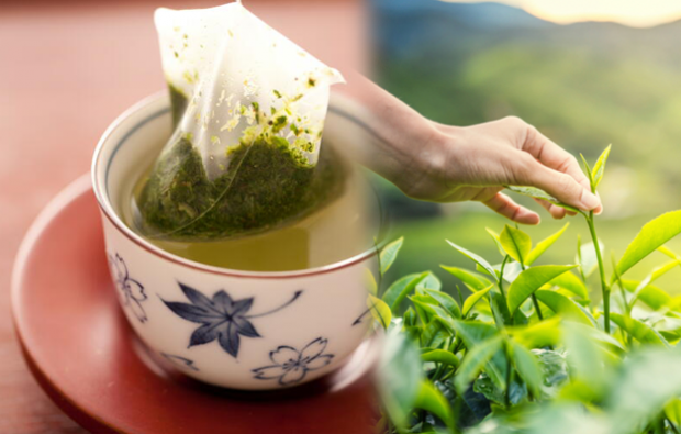 trasenie zeleného čaju schudne
