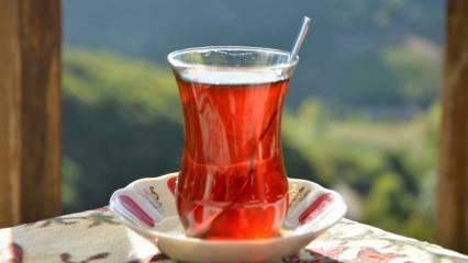 Ako zistíte, či je čaj kvalitný? Spôsoby, ako pochopiť kvalitu čaju