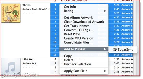 Pridanie zoznamu skladieb do SugarSync v iTunes