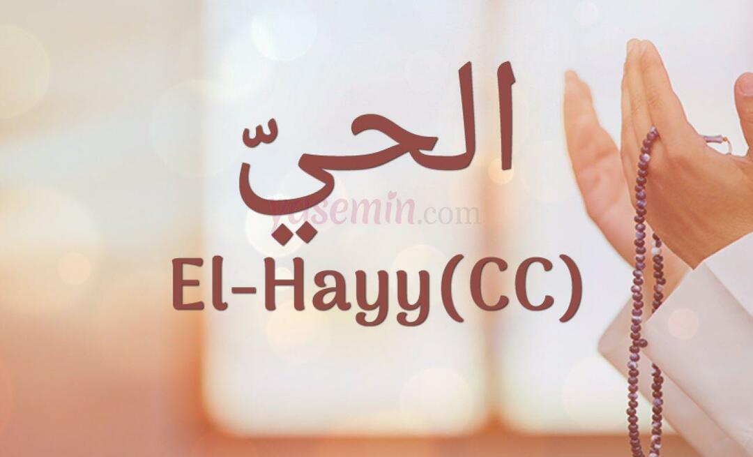 Čo znamená El-Hayy (cc) z Esma-ul Husna? Aké sú prednosti Al-Hayy (cc)?