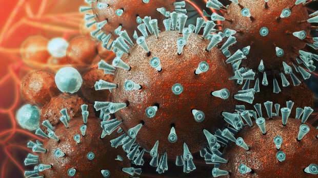 Prvýkrát bol vírus vírusu mers pozorovaný v roku 2003
