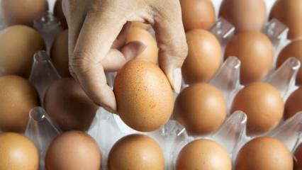 Praktické rady na udržiavanie čerstvých vajec